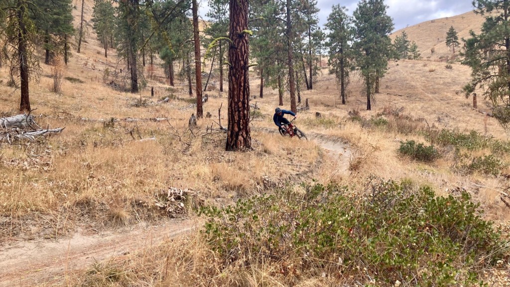 wolf tooth components resolve - with the adjustability features and ease of service, the resolve...