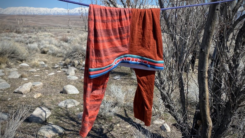 ortovox 185 rock'n'wool short pants for women - even though these short pants have far less material, their 100%...