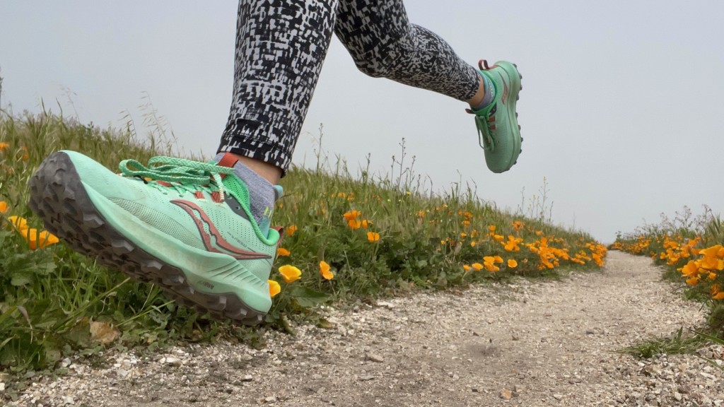 Saucony Peregrine 13 - Women's Review | Tested