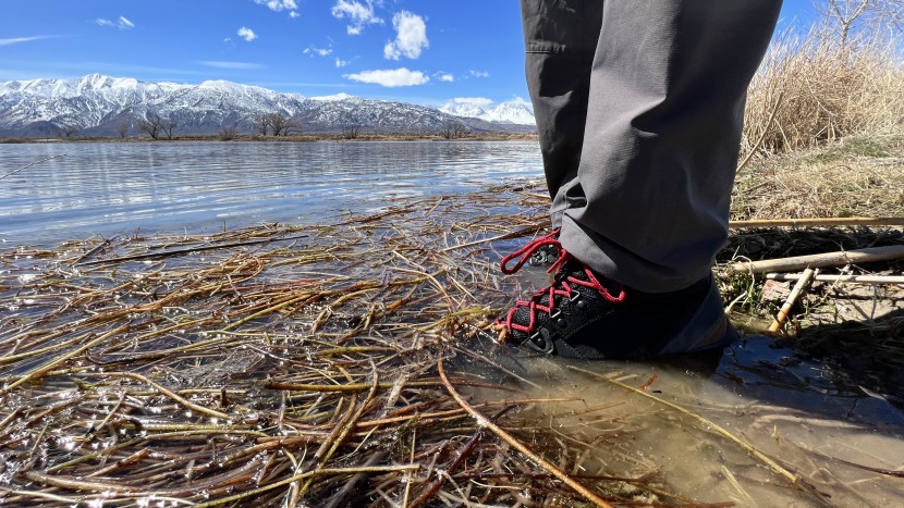 columbia newton ridge plus ii waterproof - our feet started getting wet after only a short time standing in...