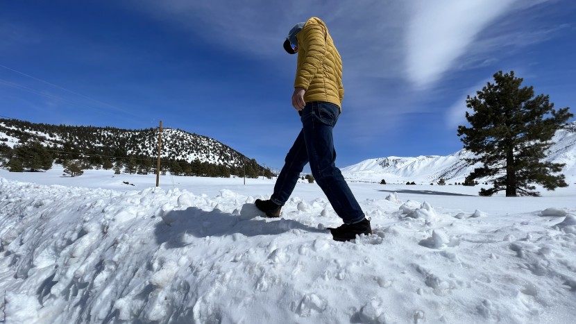 columbia newton ridge plus ii waterproof - higher support and a rigid sole make the newtons a good choice in...