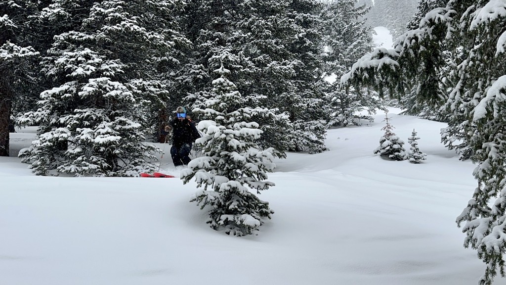 ski jacket womens - powder skiing in the the warm and weather resistant patagonia...