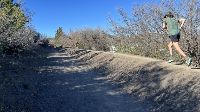 nike wildhorse 8 - if you&#039;ve been wanting a neutral feeling model great for all types...