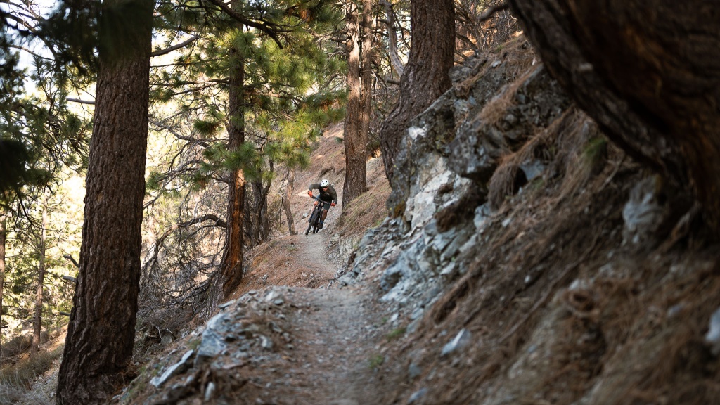 best bike - carving up fun trails is what the new fuel does best.