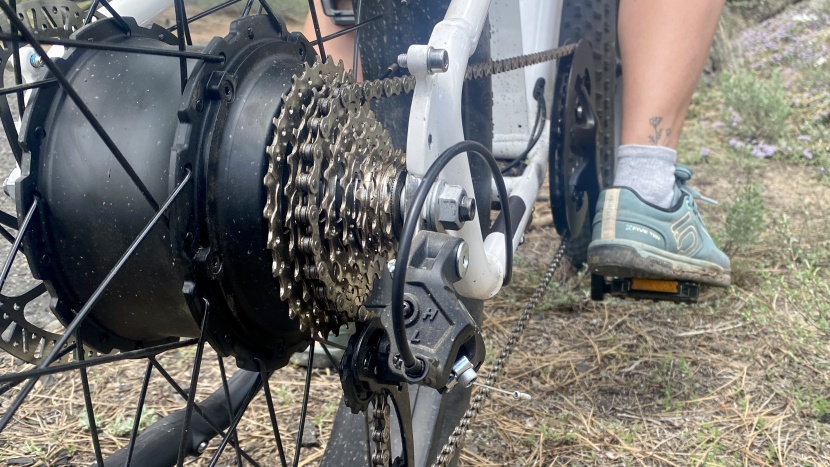 the 8-speed drivetrain and powerful hub motor.