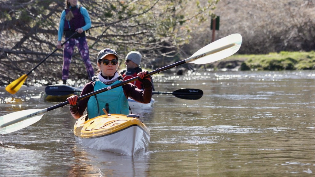 Athena Touring Paddle Reviews - Werner Paddles, …