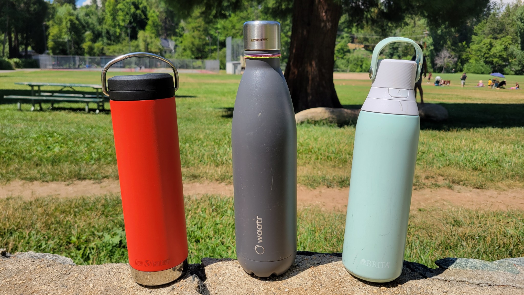 The Best 6 Water Bottles of 2024 | Tested & Rated