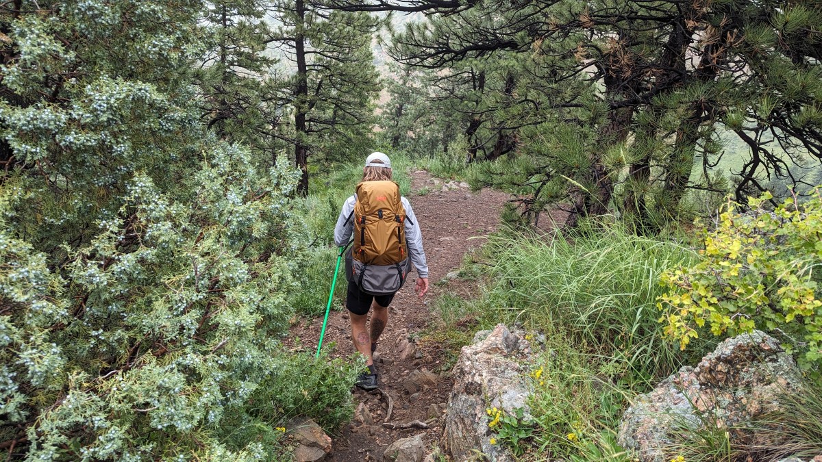 rei co-op trailmade 60 budget backpacking pack review