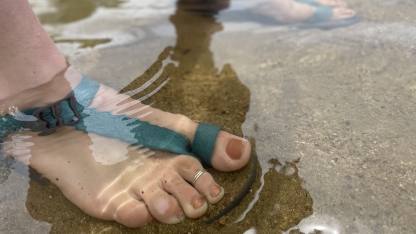 wet or dry, the bodhi are a comfortable pair of sandals.