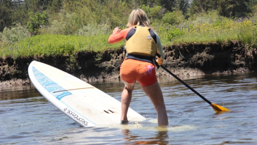 boardworks kraken - at 5 inches thick, the kraken is one of the thinnest sups we tested...