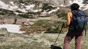 Product photo of Leki Jannu FX TA