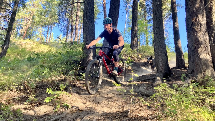 norco fluid fs 4 - this bike is confident in almost all downhill situations.