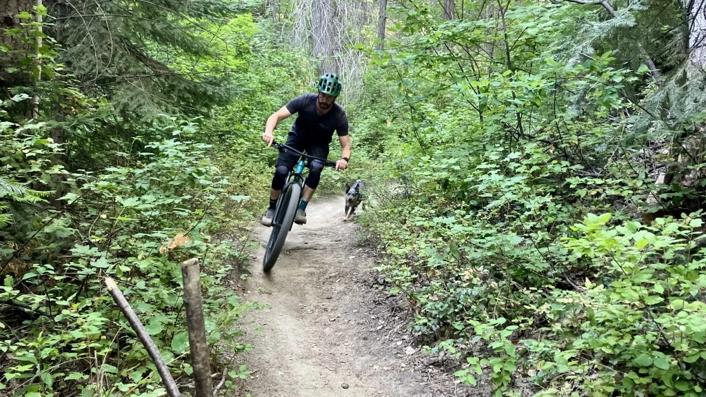 trek roscoe 7 budget mountain bike review - the roscoe is a great adventure partner for exploring remote trail...