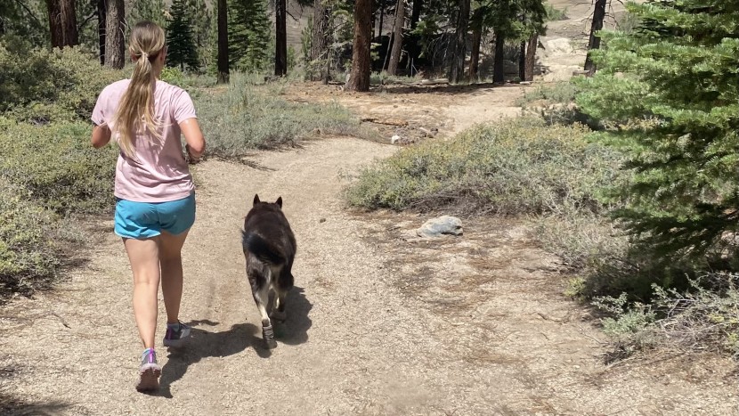 brooks cascadia 17 for women - the cascadia is a great trail running shoe for those it fits. for...