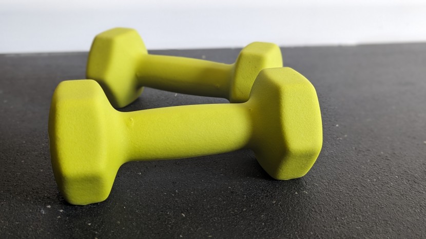 amazon basics neoprene - these beginner dumbbells from amazon are simple and completely...