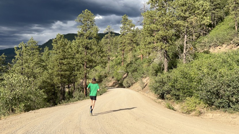 the brooks cascadia 17 lacks sensitivity. if you plan on running...