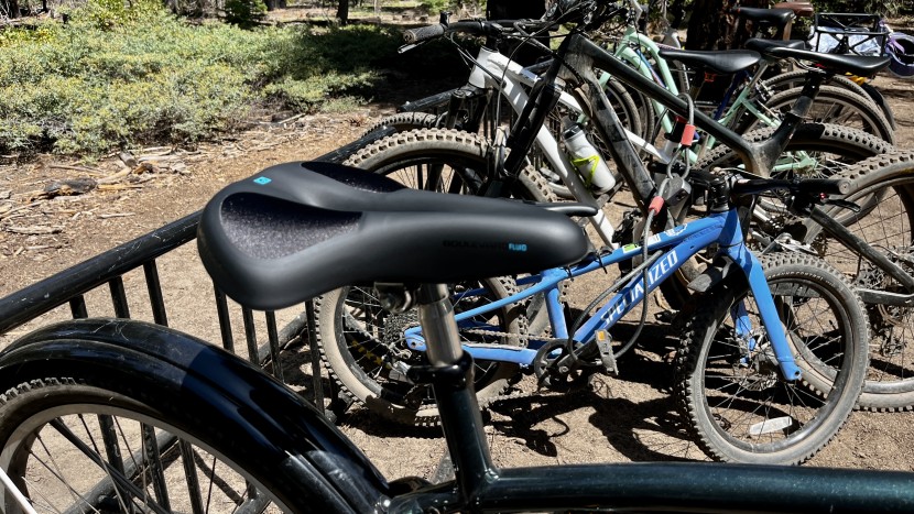 comfort bike seat - the bontrager boulevard fluid is a comfortable saddle, but it&#039;s...