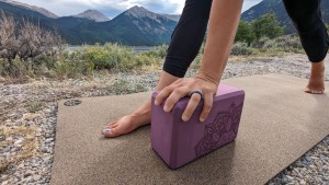  Gaiam Essentials Yoga Block 2 Pack & Yoga Strap Set