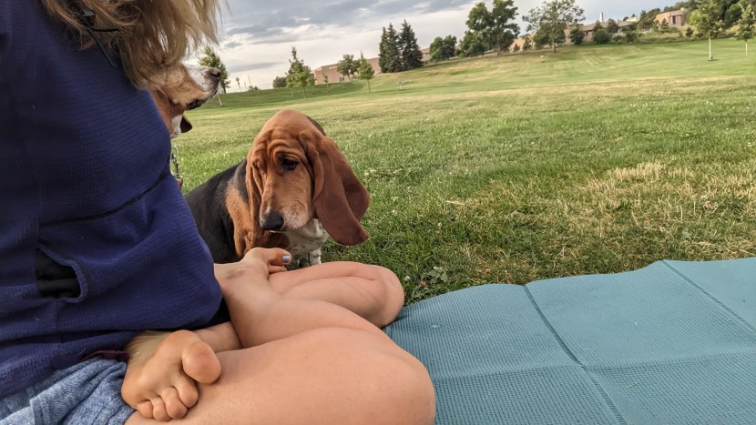 primasole foldable - the primasole is our favorite mat for an afternoon of up dogs, down...