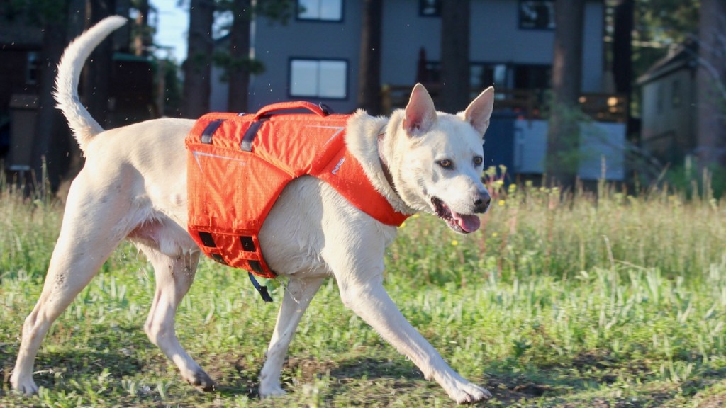 The 8 Best Life Jackets of 2024 GearLab