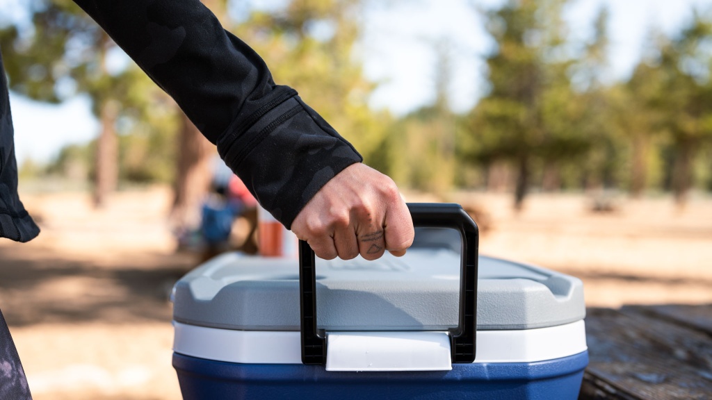 Best Coolers for Barbecues, Camping and More - Video - CNET