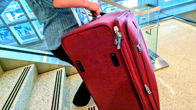 travelpro platinum elite 29&quot; - sometimes stairs are the only option, and with a bag this big, the...