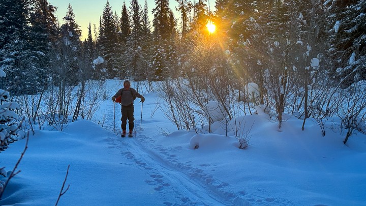 climbing skins - make sure your skins are fully compatible with your skis well before...