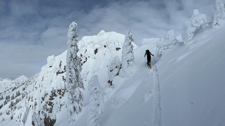 black diamond atk raider 12 - for all around human powered skiing, look no further than the atk...