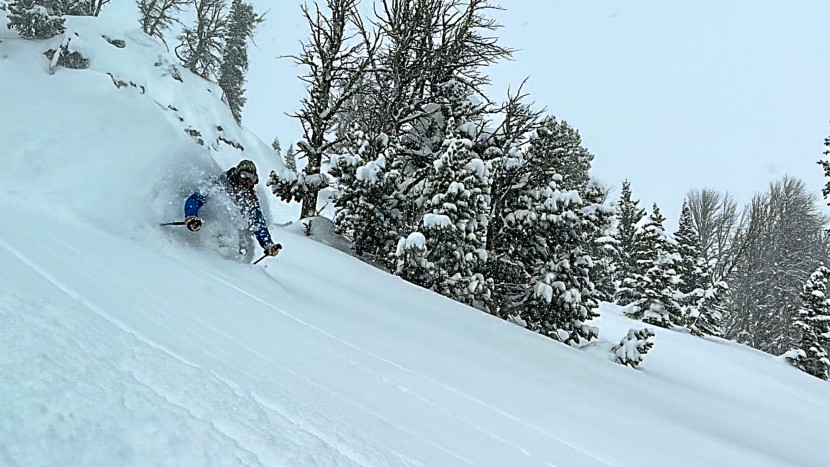 atomic backland 100 - with the right set of skills, a lightweight, well-balanced ski will...