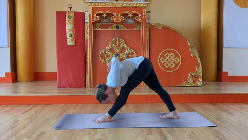 lululemon the mat - when your dhristi (focal point) is downward towards the mat, a...