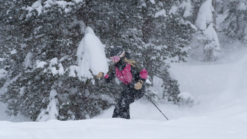 rossignol black ops 98 for women - the black ops&#039; tight feeling turn radius helps in bumps and trees.