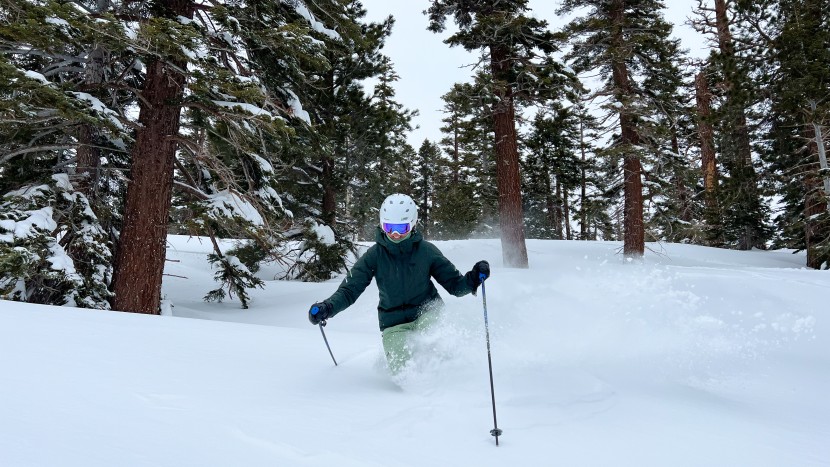 fischer ranger 102 for women - widely spaced trees like these are great for the larger turn radius...