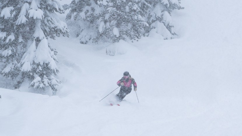 all mountain skis womens - the elan ripstick has exceptional powder prowess, especially...