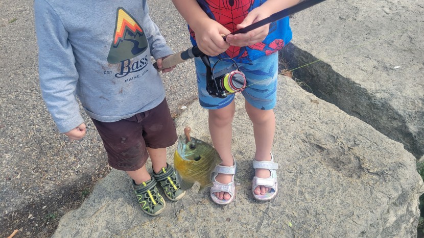 our kiddos had a lot of fun catching bluegill with the kastking...