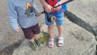 Our kiddos had a lot of fun catching Bluegill with the KastKing...