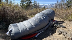 feathered friends hummingbird ul 30