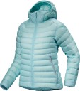 arc'teryx cerium hoody for women