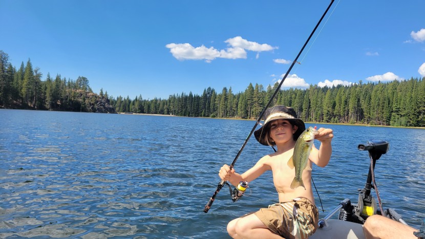fishing reel - our local guide, gavi, catching bass with the plusinno ha 3000 reel...