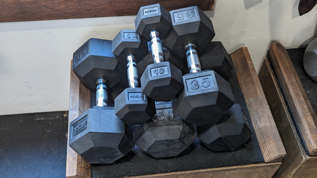 Rogue Rubber Hex Dumbbells Review Tested by GearLab