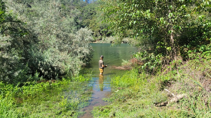 our testers sometimes waded into the water to get out to those holes...