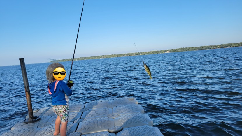 the plusinno ha 3000 reel performed well in all applications. here...