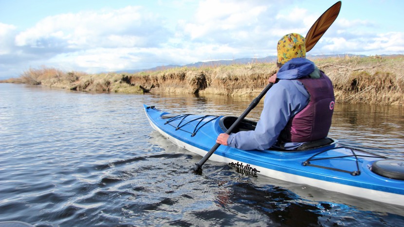 eddyline skylark - the eddyline skylark stood out for its high performance and...
