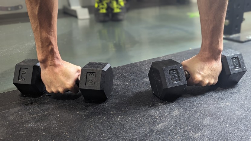 amazon basics rubber encased hex - amazon hex dumbbells are reasonably versatile free weights. they may...