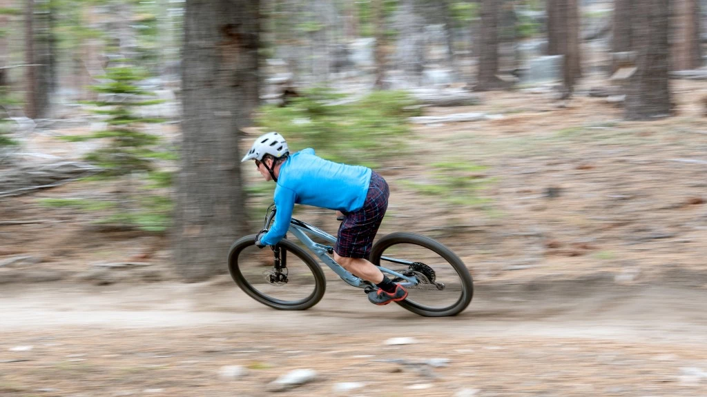 mountain bike - the ripley is more comfortable at speed and performs well on the...