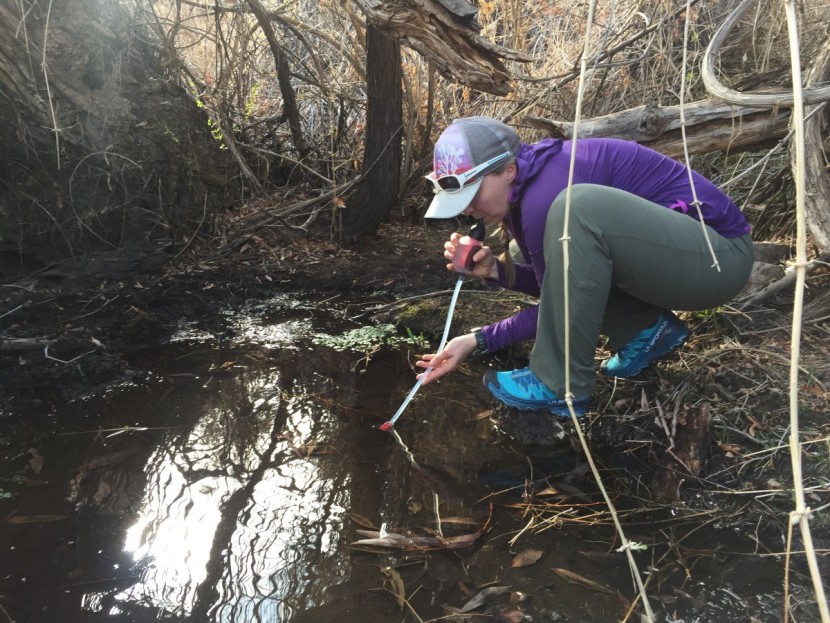 msr trailshot - we used the trailshot to drink directly from shallow, mucky water.