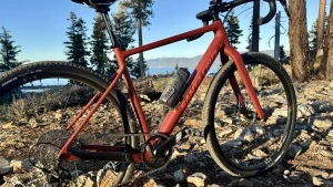 santa cruz stigmata carbon cc apex