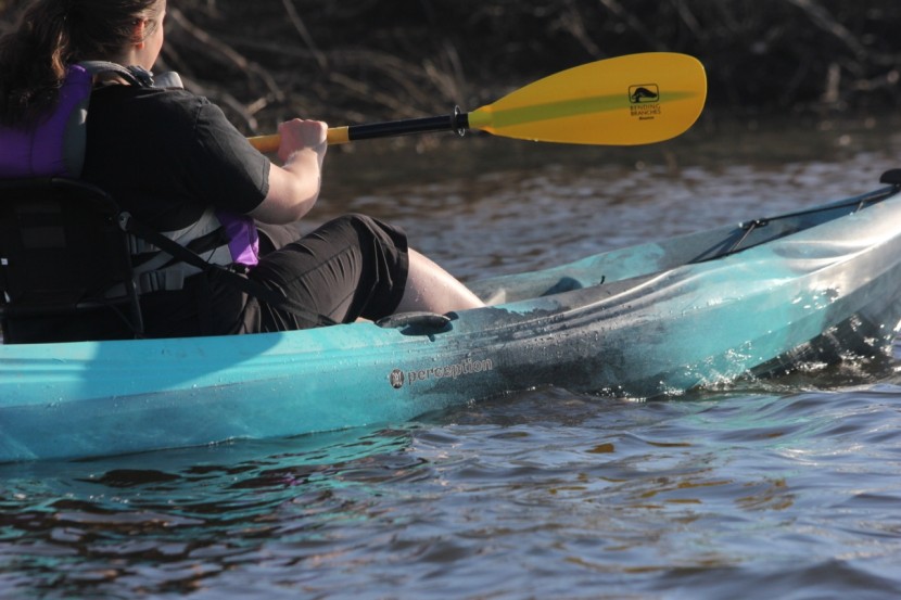 perception tribe 11.5 - the tribe&#039;s stability and glide make it a great choice if you end up...