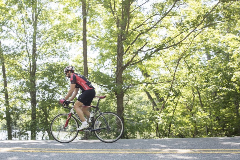 performance elite bibs - though they come in at about $40 less than most good bib shorts, the...