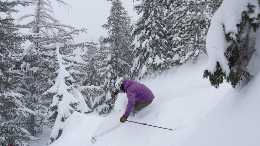 all mountain skis men - narrower-waisted skis tend to sink into the powder.
