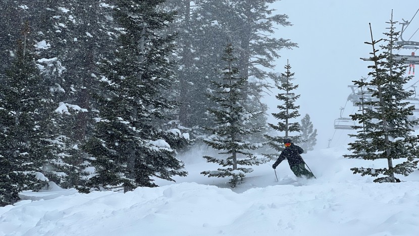 blizzard rustler 9 - ah, the joys of packed powder! post-storm romping is where the...